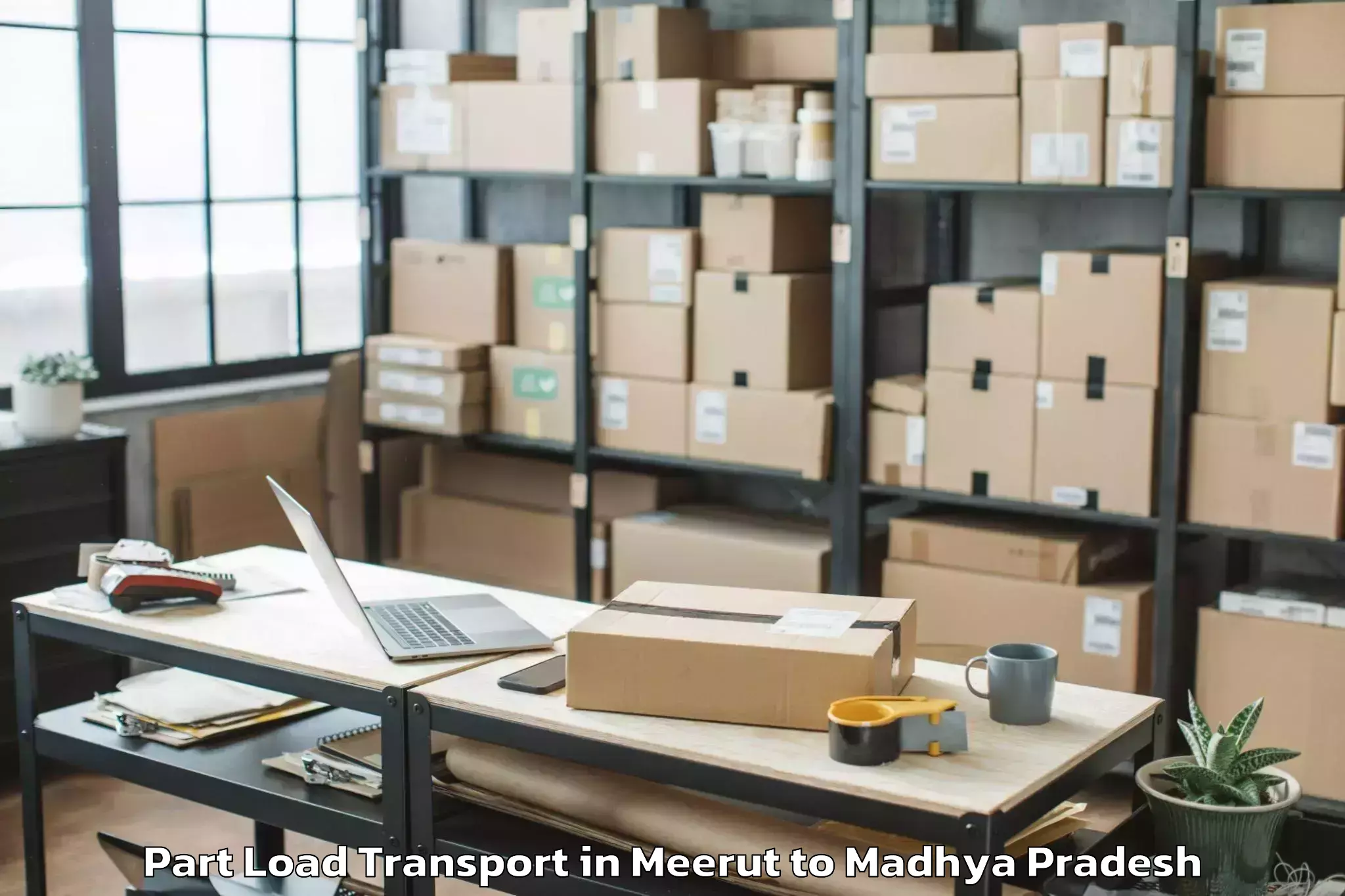 Book Meerut to Kareli Part Load Transport Online